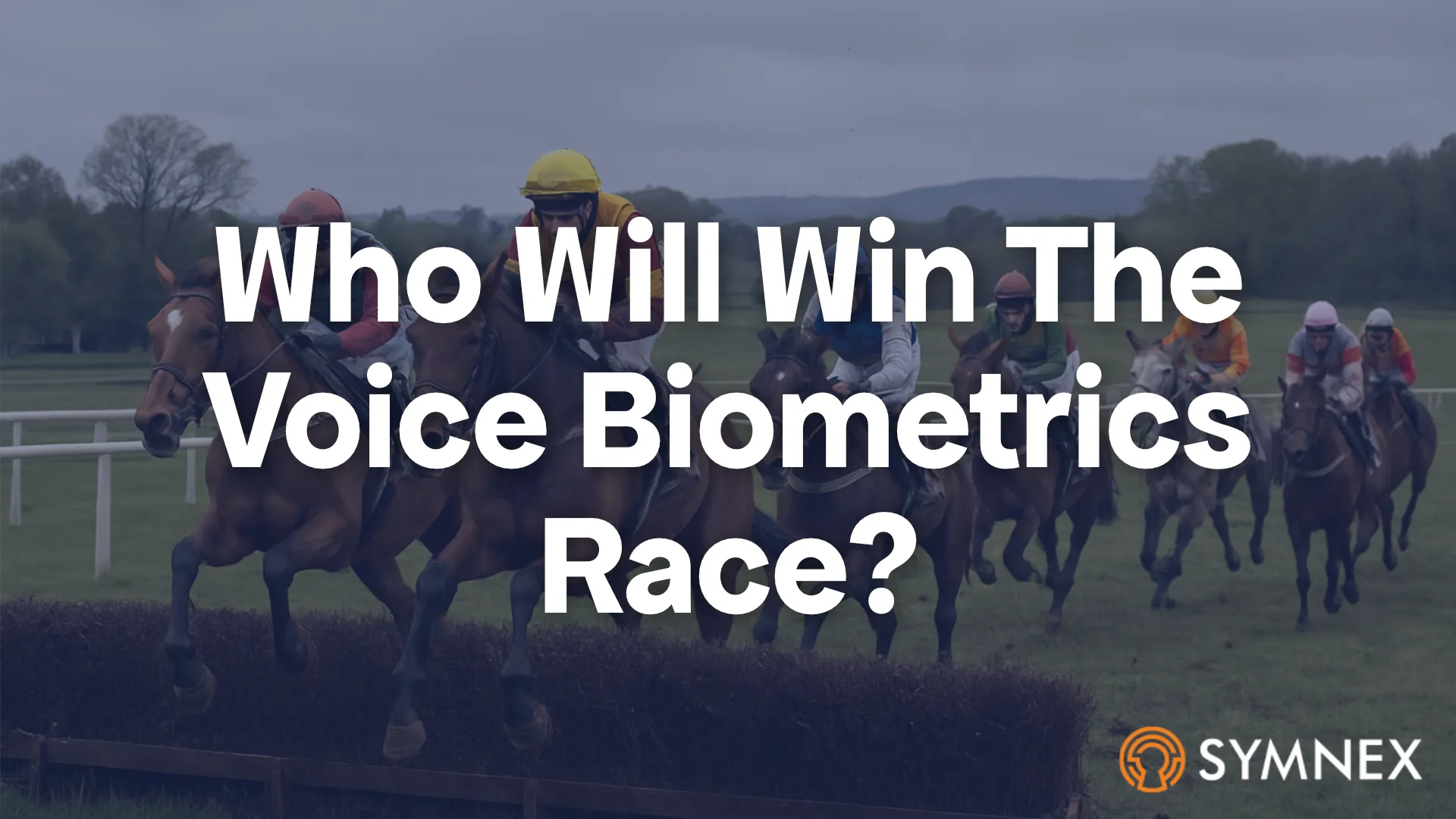Voice Biometrics Race